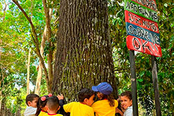 CEI Santa Rita de Cássia Visitando o Parque Natural