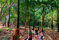 CEI Santa Rita de Cássia Visitando o Parque Natural