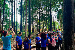 Centro Educacional Sesc de Castanhal Visitando o Parque Natural