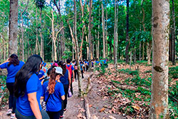 Centro Educacional Sesc de Castanhal Visitando o Parque Natural