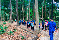 Centro Educacional Sesc de Castanhal Visitando o Parque Natural