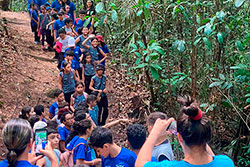 Centro Educacional Sesc de Castanhal Visitando o Parque Natural