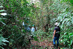 Limpeza do Parque Natural