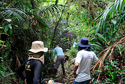 Limpeza do Parque Natural