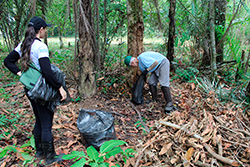 Limpeza do Parque Natural