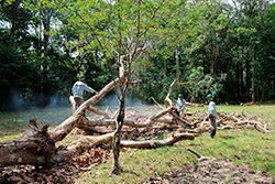 Limpeza do Parque Natural