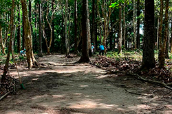 Limpeza do Parque Natural