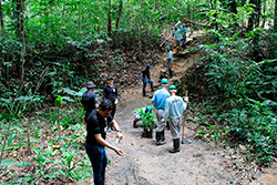 Limpeza do Parque Natural