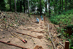 Limpeza do Parque Natural