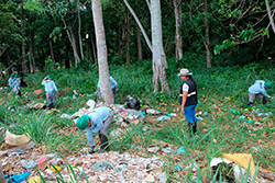 Limpeza do Parque Natural