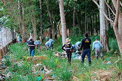 Limpeza do Parque Natural